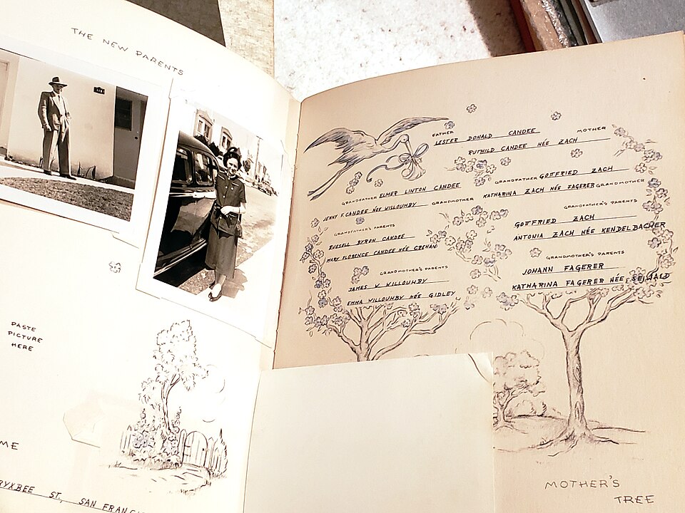 Bebek Isimleri Ve Anlamlari